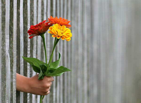 Hvad er datoen for Valentinsdag i år?